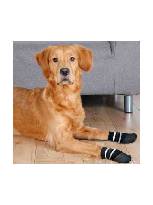 Trixie Socks Dog Trixie Socks Dog