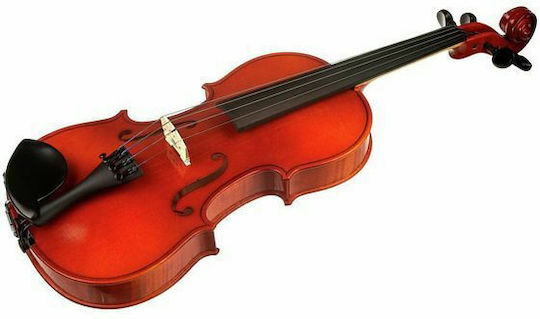 Franz Sandner Schönbach Violin Mod.101 4/4 Βιολί