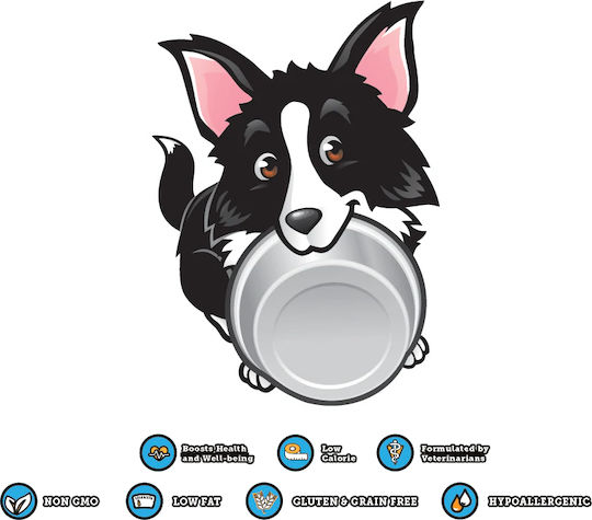 DoggyRade Προβιοτικά Σκύλου σε Σιρόπι 250ml για Γαστρεντερικές Διαταραχές