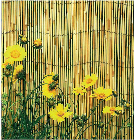 Sidirela Bamboo Fencing with Whole Reed 2x5m