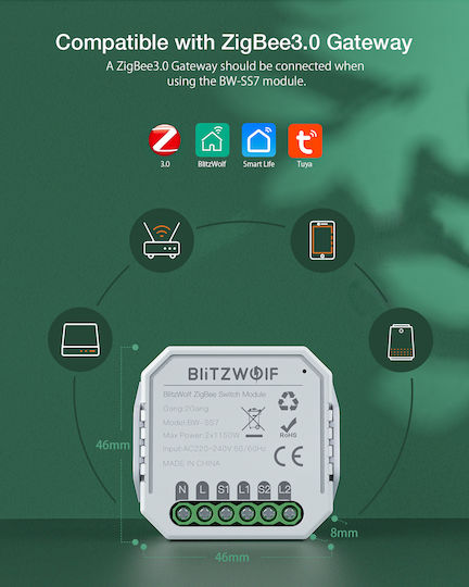 BlitzWolf Smart Switch 1 Καναλιού Wi-Fi & ZigBee 10A