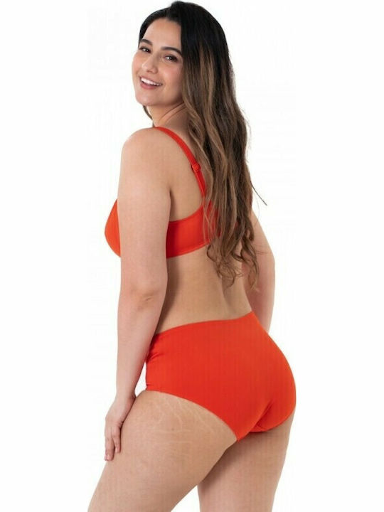 Dorina