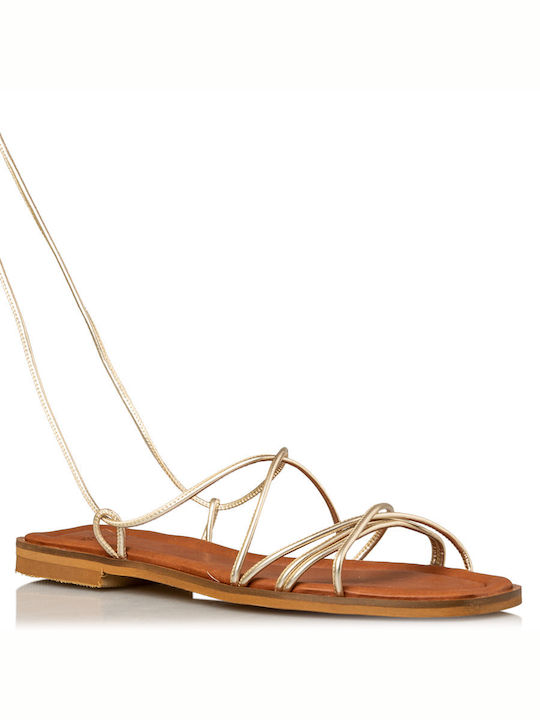 Wired Women's Flat Sandals in Gold Color