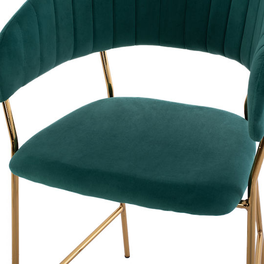 Hocker Bar mit Rückenlehne Gepolstert mit Samt Theodore Cypress 60x55x100cm
