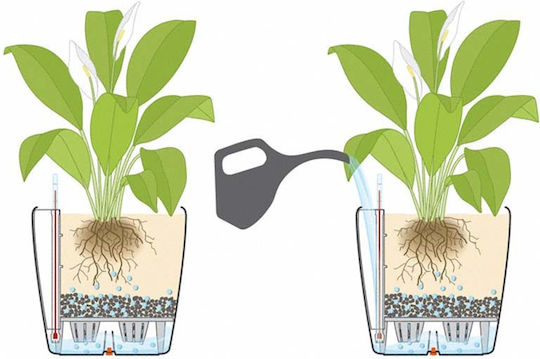 Lechuza Classico Self-watering Pot Plastic Slate 21.5x21.5x20cm.