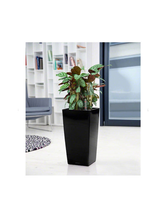 Lechuza Cubico Premium 30 Flower Pot Self-Watering 29.5x56.5cm in Black Color 18186