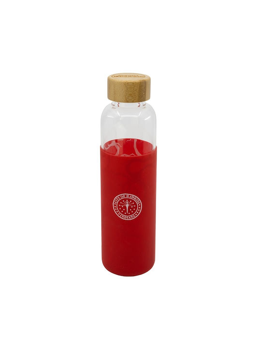 Stor Stranger Things Bottiglia Grătare comerciale Sticlă con tappo a vite Transparent 585ml