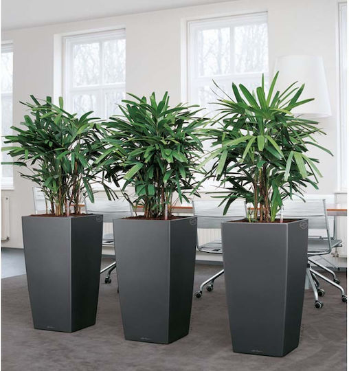 Lechuza Cubico Premium Αυτοποτιζόμενη Γλάστρα Πλαστική Charcoal Metallic 39.5x39.5x75.5εκ.