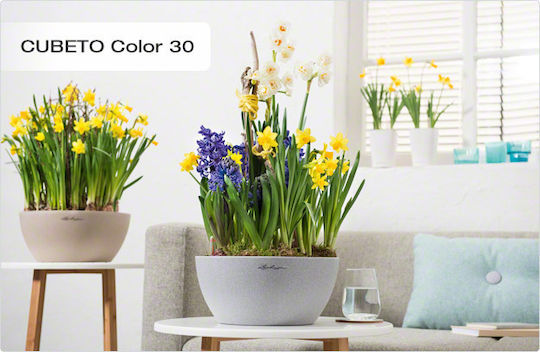 Lechuza Cubeto Stone Self-watering Pot Plastic 30x30x13.5cm.