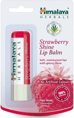 Himalaya Wellness Lippen Balsam 4.5gr