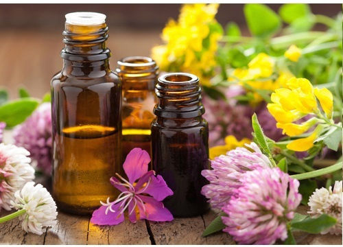 Apivita Essential Oil Thyme Organic Essential Oil Thyme 5ml