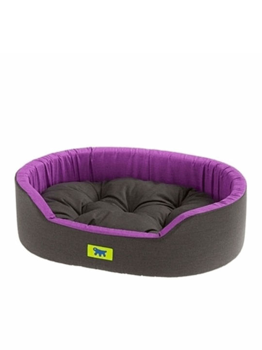 Ferplast Dandy C Sofa Dog Bed Purple 55x41cm. 82942099