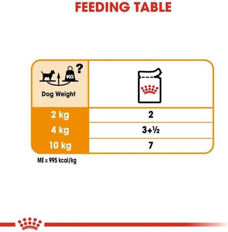 Royal Canin Coat Care Wet Food Dogs in Pouches with Meat 12x85gr 1736010