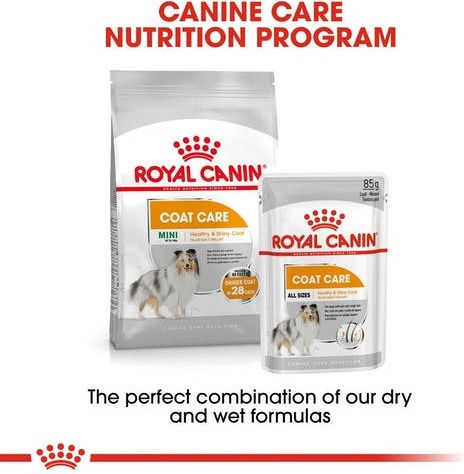Royal Canin Coat Care Wet Food Dogs in Pouches with Meat 12x85gr 1736010