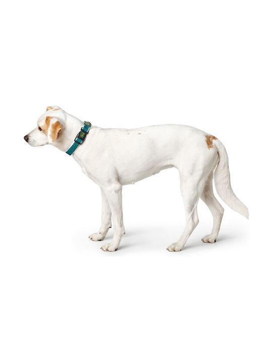 Hunter Hilo Vario Basic Mesh Hundehalsband in Türkis Farbe Klein 25mm x 30 - 43cm