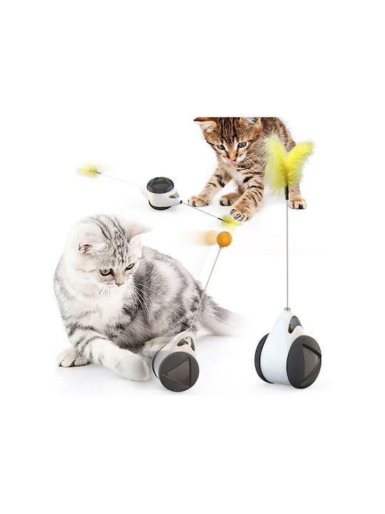 Pet Interest 2553