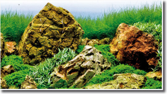 Wave Double Background Vision Aquarium Dekoration Poster