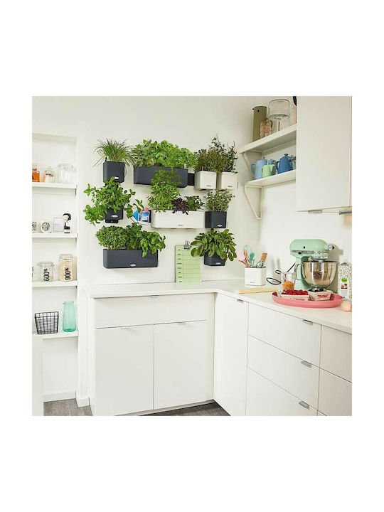 Lechuza Green Wall Set 3 Pots Plastic