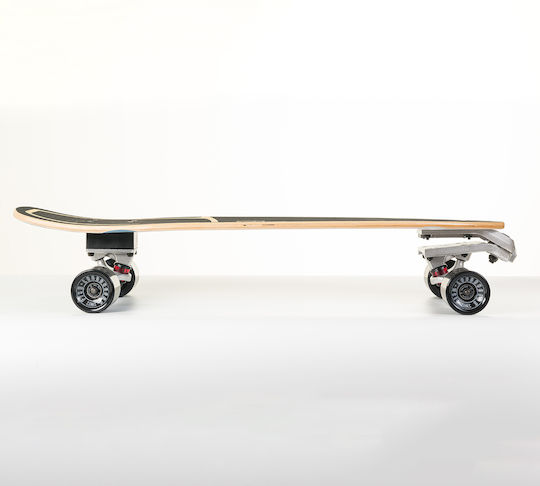 Fish Skateboards Waves 9" Complete Surfskate Πολύχρωμο
