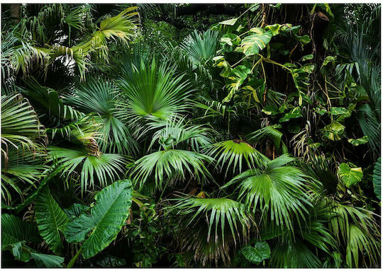 Φωτοταπετσαρία Τοίχου Sunny Jungle Υφασμάτινη 100x70cm