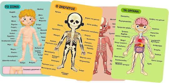 Tooky Toys Μαγνητικό Παιχνίδι Κατασκευών Μαθαίνω το Σώμα μου για Παιδιά 3+ Ετών