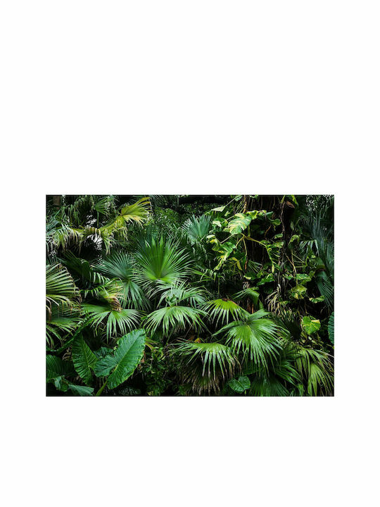 Fototapet de Perete 300x210cm Sunny Jungle Tesatura