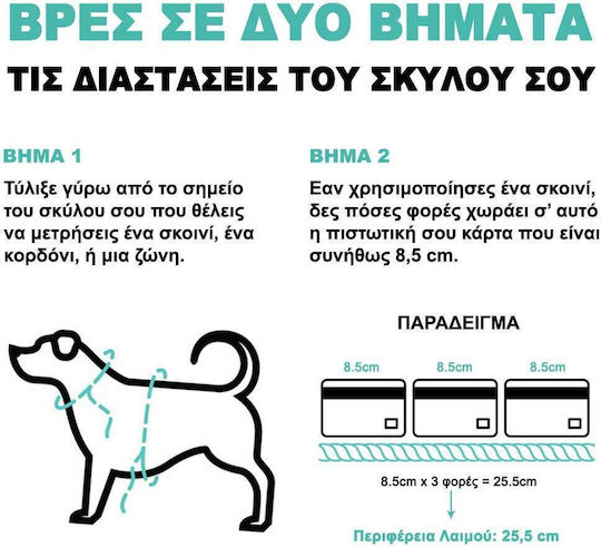 Zee-Dog Λουρί/Οδηγός Σκύλου Ιμάντας Candy Extra Small 1.2m x 1cm