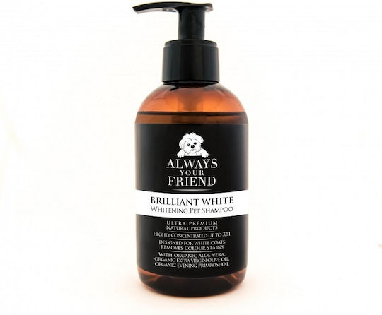 Always Your Friend Brilliant White Shampoo Dog for White Hair 250ml