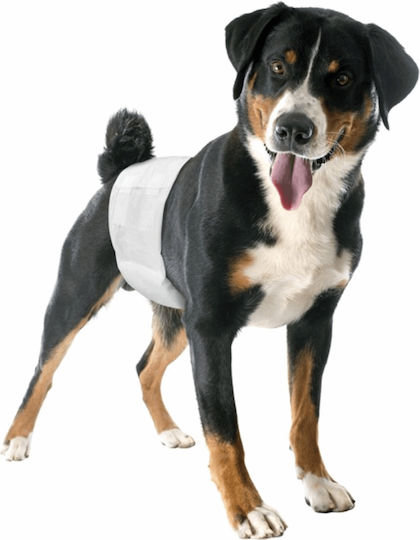 Camon Dog's Nappy Пелени за кучета Голям 45-55см. 12бр Large 45см 12бр