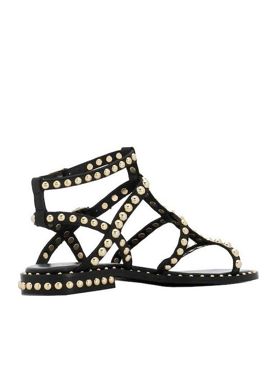 Precious Leather Women's Flat Sandals in Black Color