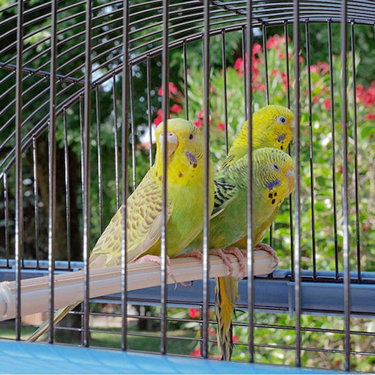 Ferplast Bird Cage Palladio 4 59x33x69cm 59x33x69cm.