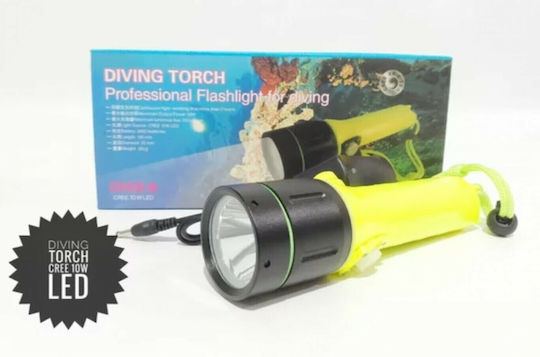 Rechargeable Diving Safety Light with 320 Lumens Brightness for Depths up to 60m