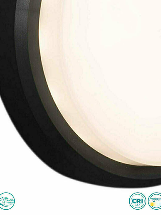 Faro Barcelona Wall-Mounted Outdoor Ceiling Light LED IP65 11W with Warm White Light