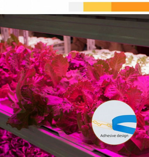 Grow Light με LED 3εκ.