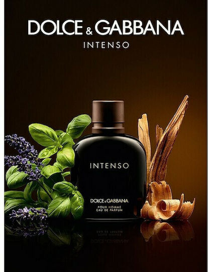 Dolce & Gabbana Pour Homme Intenso Eau de Parfum 40ml