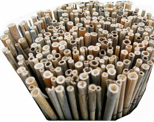 Mega Bazaar Gard de Bambus cu Întregul Reed 2x5m