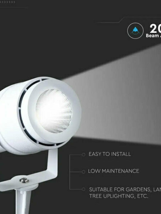 V-TAC Sticla Lumină Led Fixă 217547