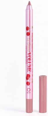 Vivienne Sabo Le Grand Volume Lip Pencil