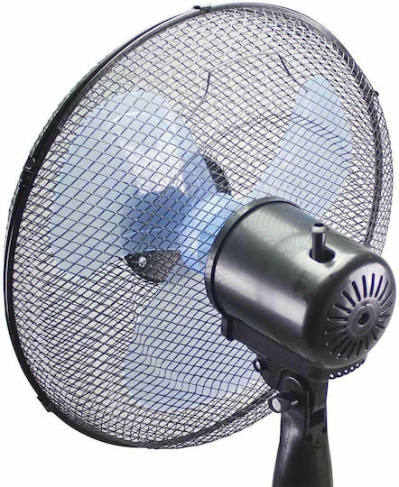 Beper Ventilator Sockel 35W Lüfterdurchmesser 40cm Schwarzer