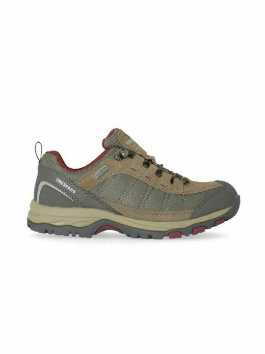 Trespass Women's Hiking Shoes Brown