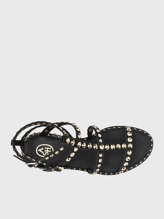Precious Leather Women's Flat Sandals in Black Color