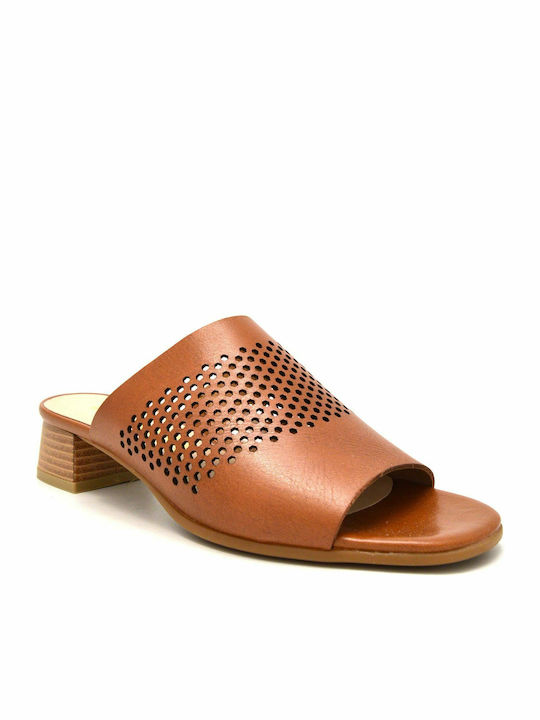 Leather Mules with Chunky Low Heel in Tabac Brown Color