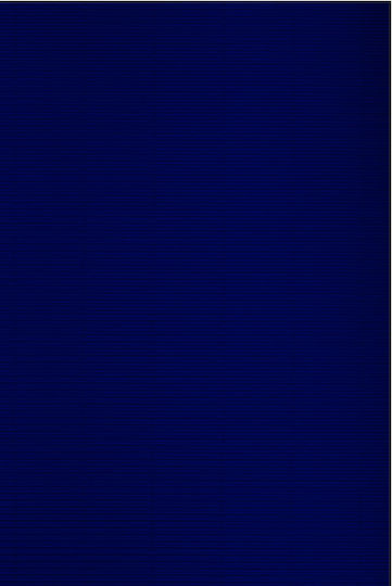 Exas Paper Χαρτόνι Οντουλέ Ursus 50x70εκ. Μπλε