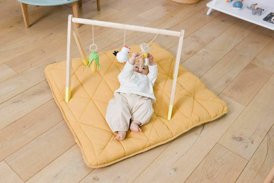 Baby to Love Farm Wooden Baby Gym Activity for Newborns