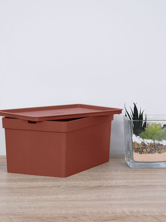 Viomes Nova Plastic Storage Box with Lid Bordeaux 28x18x13.5cm