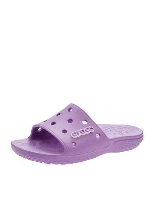 Classic Women's Slides Purple