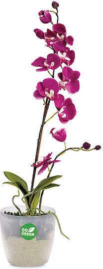 Atmosphera Roto Planter Plastic Transparent 16x16x14.5cm.