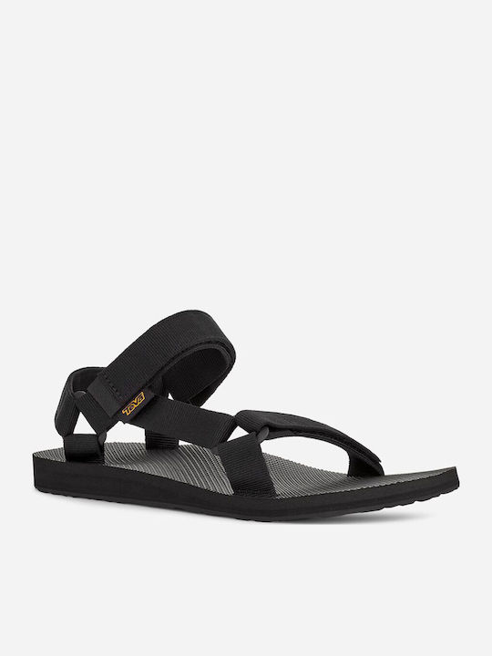 Teva
