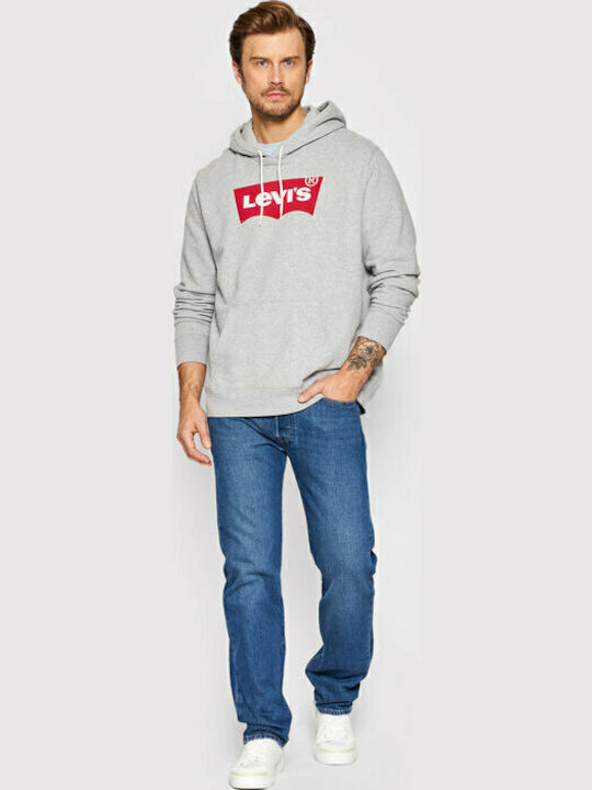 Graphic Sweatshirt with Hood Gray
