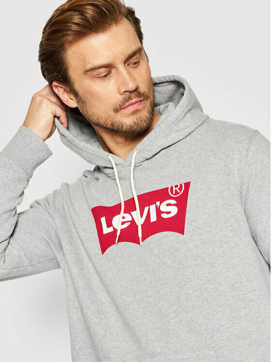 Graphic Sweatshirt with Hood Gray